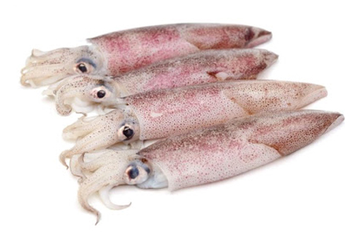 Calamari